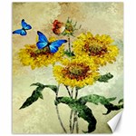 Backdrop Colorful Butterfly Canvas 20  x 24   19.57 x23.15  Canvas - 1