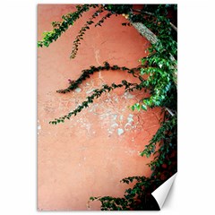 Background Stone Wall Pink Tree Canvas 20  X 30   by Nexatart