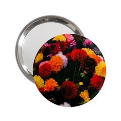 Beautifull Flowers 2 25  Handbag Mirrors by Nexatart