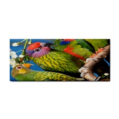 Beautifull Parrots Bird Cosmetic Storage Cases