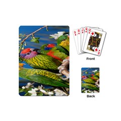 Beautifull Parrots Bird Playing Cards (mini)  by Nexatart