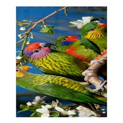 Beautifull Parrots Bird Shower Curtain 60  X 72  (medium)  by Nexatart