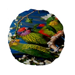 Beautifull Parrots Bird Standard 15  Premium Flano Round Cushions