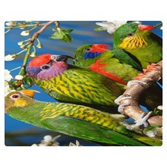 Beautifull Parrots Bird Double Sided Flano Blanket (medium)  by Nexatart