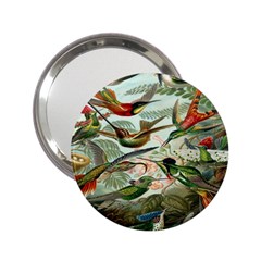 Beautiful Bird 2 25  Handbag Mirrors by Nexatart