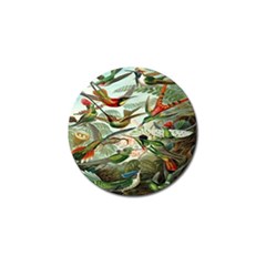 Beautiful Bird Golf Ball Marker (4 Pack) by Nexatart