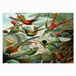 Beautiful Bird Large Glasses Cloth (2-Side) Front