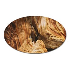 Brown Beige Abstract Painting Oval Magnet