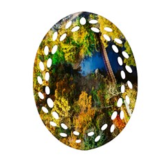 Bridge River Forest Trees Autumn Ornament (oval Filigree) by Nexatart