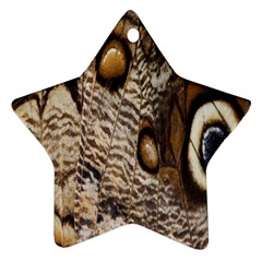 Butterfly Wing Detail Ornament (star) by Nexatart
