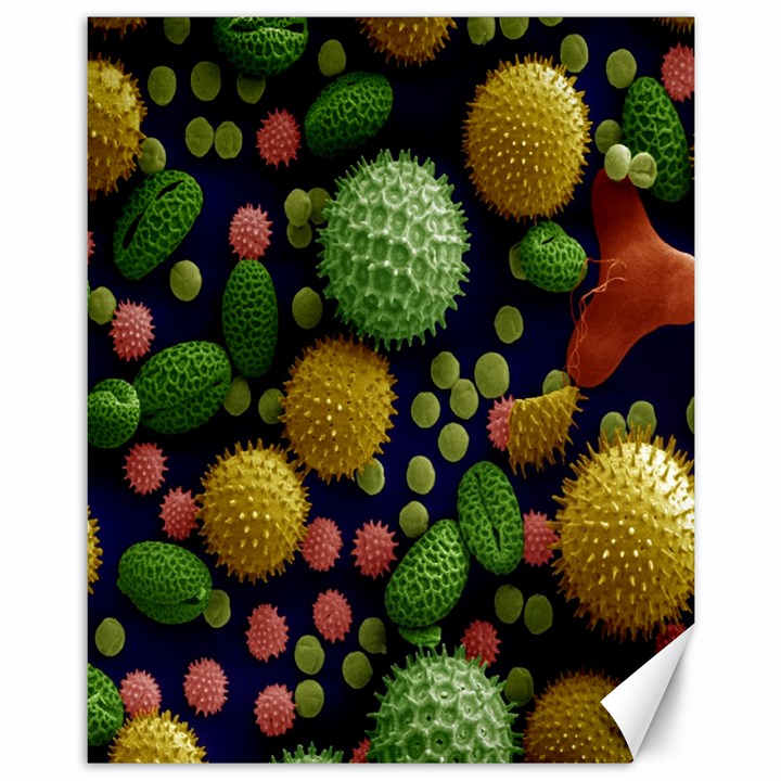 Colorized Pollen Macro View Canvas 11  x 14  