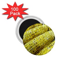 Corn Grilled Corn Cob Maize Cob 1 75  Magnets (100 Pack)  by Nexatart