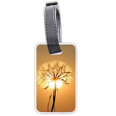 Dandelion Sun Dew Water Plants Luggage Tags (one Side)  by Nexatart