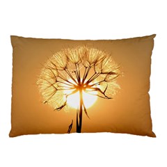 Dandelion Sun Dew Water Plants Pillow Case (two Sides) by Nexatart