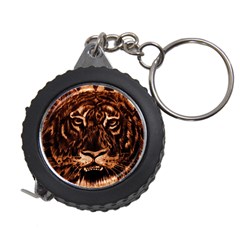 Eye Of The Tiger Measuring Tapes by Nexatart