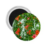 Flower Background Backdrop Pattern 2.25  Magnets Front