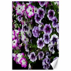 Flowers Blossom Bloom Plant Nature Canvas 12  X 18   by Nexatart