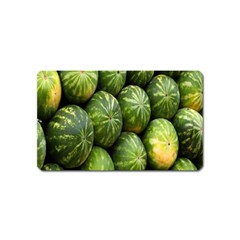 Food Summer Pattern Green Watermelon Magnet (name Card)