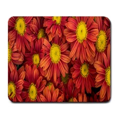 Flowers Nature Plants Autumn Affix Large Mousepads by Nexatart