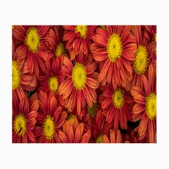 Flowers Nature Plants Autumn Affix Small Glasses Cloth by Nexatart