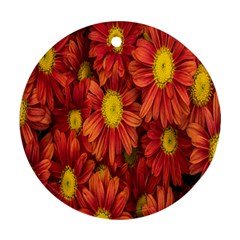 Flowers Nature Plants Autumn Affix Round Ornament (two Sides) by Nexatart