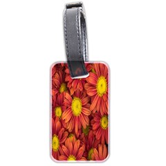Flowers Nature Plants Autumn Affix Luggage Tags (two Sides) by Nexatart