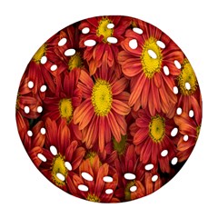 Flowers Nature Plants Autumn Affix Ornament (round Filigree)