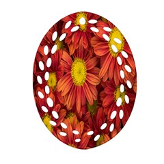 Flowers Nature Plants Autumn Affix Oval Filigree Ornament (two Sides) by Nexatart