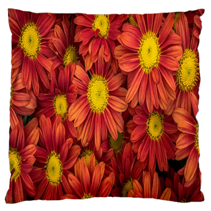 Flowers Nature Plants Autumn Affix Large Cushion Case (One Side)