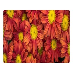 Flowers Nature Plants Autumn Affix Double Sided Flano Blanket (large)  by Nexatart