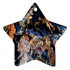Frost Leaves Winter Park Morning Star Ornament (two Sides) by Nexatart