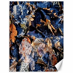 Frost Leaves Winter Park Morning Canvas 12  X 16   by Nexatart