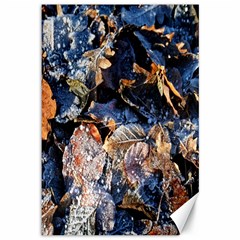 Frost Leaves Winter Park Morning Canvas 12  X 18   by Nexatart