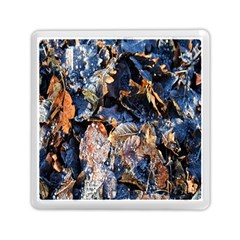 Frost Leaves Winter Park Morning Memory Card Reader (square)  by Nexatart