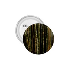 Green And Brown Bamboo Trees 1.75  Buttons