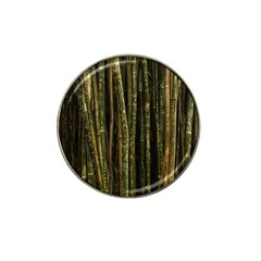 Green And Brown Bamboo Trees Hat Clip Ball Marker (10 Pack) by Nexatart