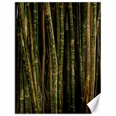 Green And Brown Bamboo Trees Canvas 18  X 24  