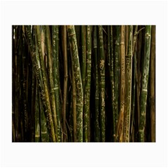 Green And Brown Bamboo Trees Small Glasses Cloth (2-side) by Nexatart