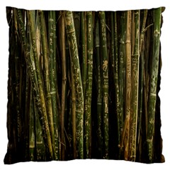 Green And Brown Bamboo Trees Large Flano Cushion Case (one Side) by Nexatart