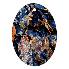 Frost Leaves Winter Park Morning Ornament (oval) by Nexatart