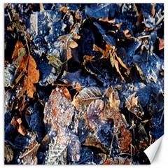 Frost Leaves Winter Park Morning Canvas 20  X 20   by Nexatart