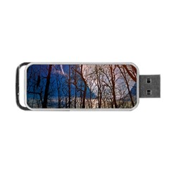 Full Moon Forest Night Darkness Portable Usb Flash (one Side) by Nexatart