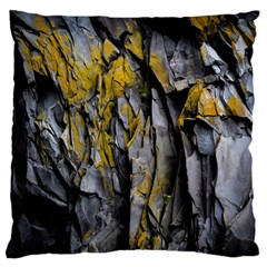 Grey Yellow Stone  Large Cushion Case (one Side) by Nexatart