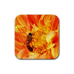 Honey Bee Takes Nectar Rubber Coaster (square)  by Nexatart