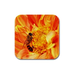 Honey Bee Takes Nectar Rubber Square Coaster (4 Pack)  by Nexatart