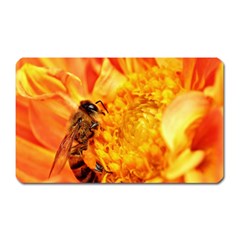 Honey Bee Takes Nectar Magnet (rectangular) by Nexatart