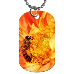 Honey Bee Takes Nectar Dog Tag (two Sides) by Nexatart