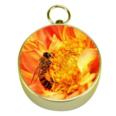 Honey Bee Takes Nectar Gold Compasses by Nexatart