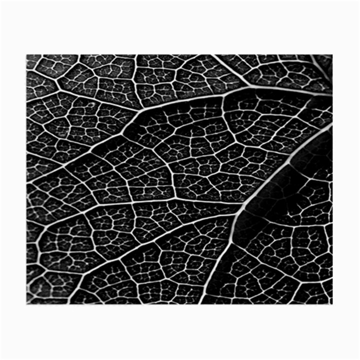 Leaf Pattern  B&w Small Glasses Cloth