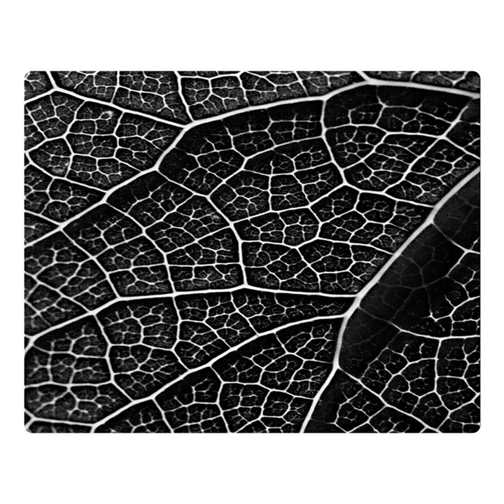 Leaf Pattern  B&w Double Sided Flano Blanket (Large) 